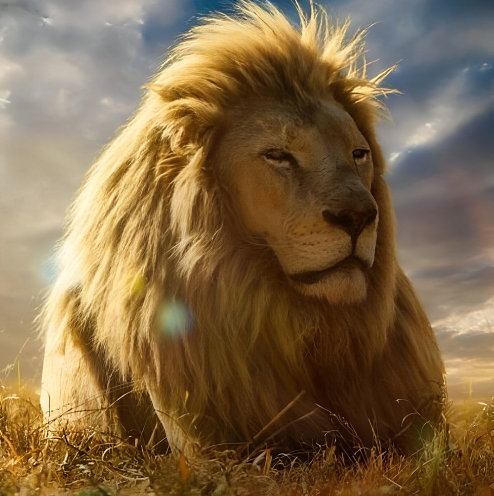 The Contemplative Lion Diamond Painting
