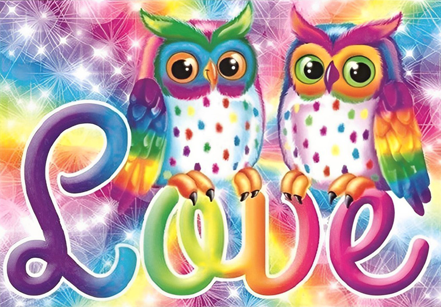 Colorful Owl Couple Diamond Painting