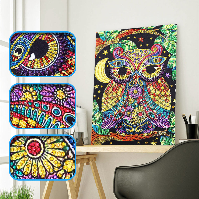 Colorful Owl Special Shaped Drills Owl 5D DIY Diamond Painting Kits