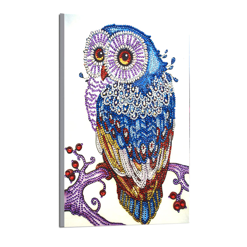 Special Shaped Drills Owl Diamond Painting