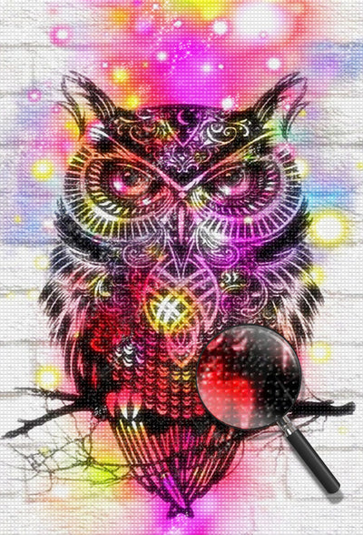 Owl and Colorful Light Diamond Painting