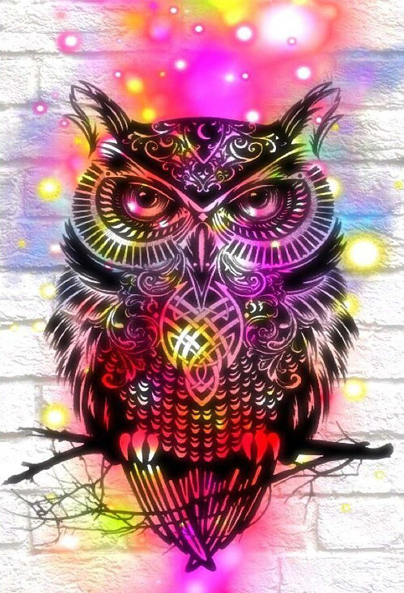 Owl and Colorful Light Diamond Painting