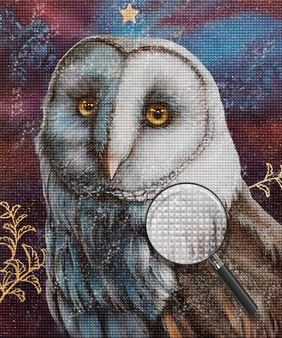 Owl Diamond Painting