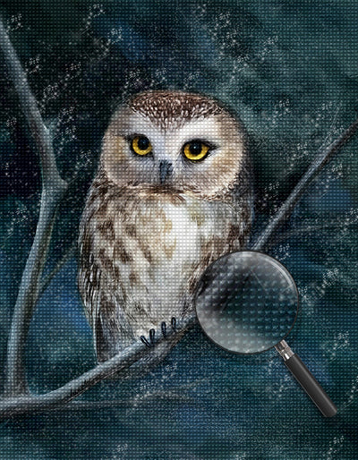 Adorable Owl 5D DIY Diamond Painting Kits