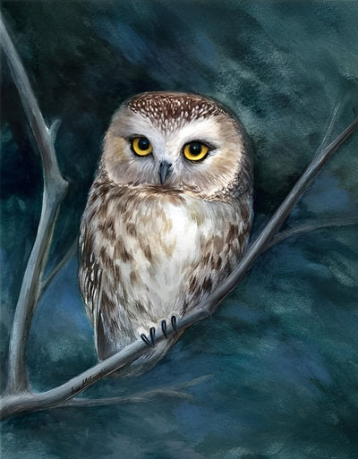 Adorable Owl 5D DIY Diamond Painting Kits