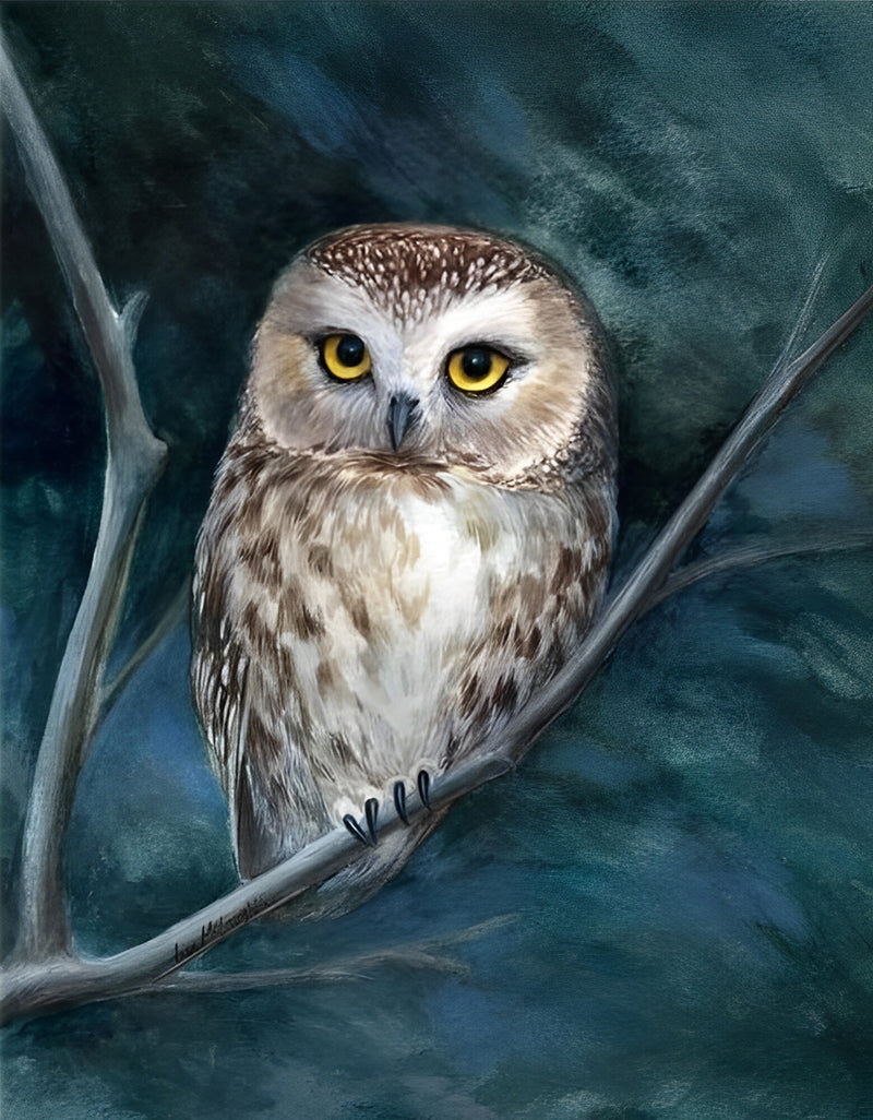 Adorable Owl Diamond Painting