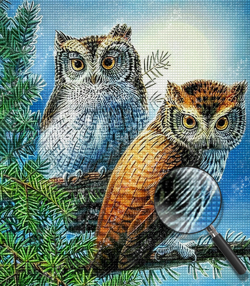 Owls on Pine Branches Diamond Painting