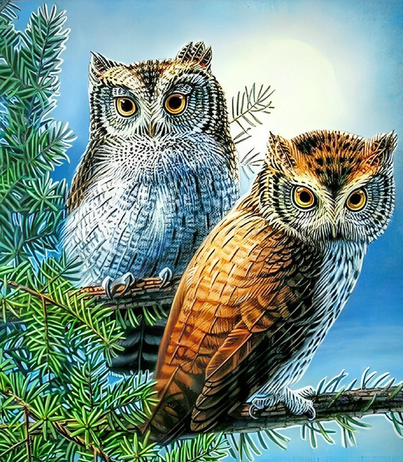 Owls on Pine Branches 5D DIY Diamond Painting Kits