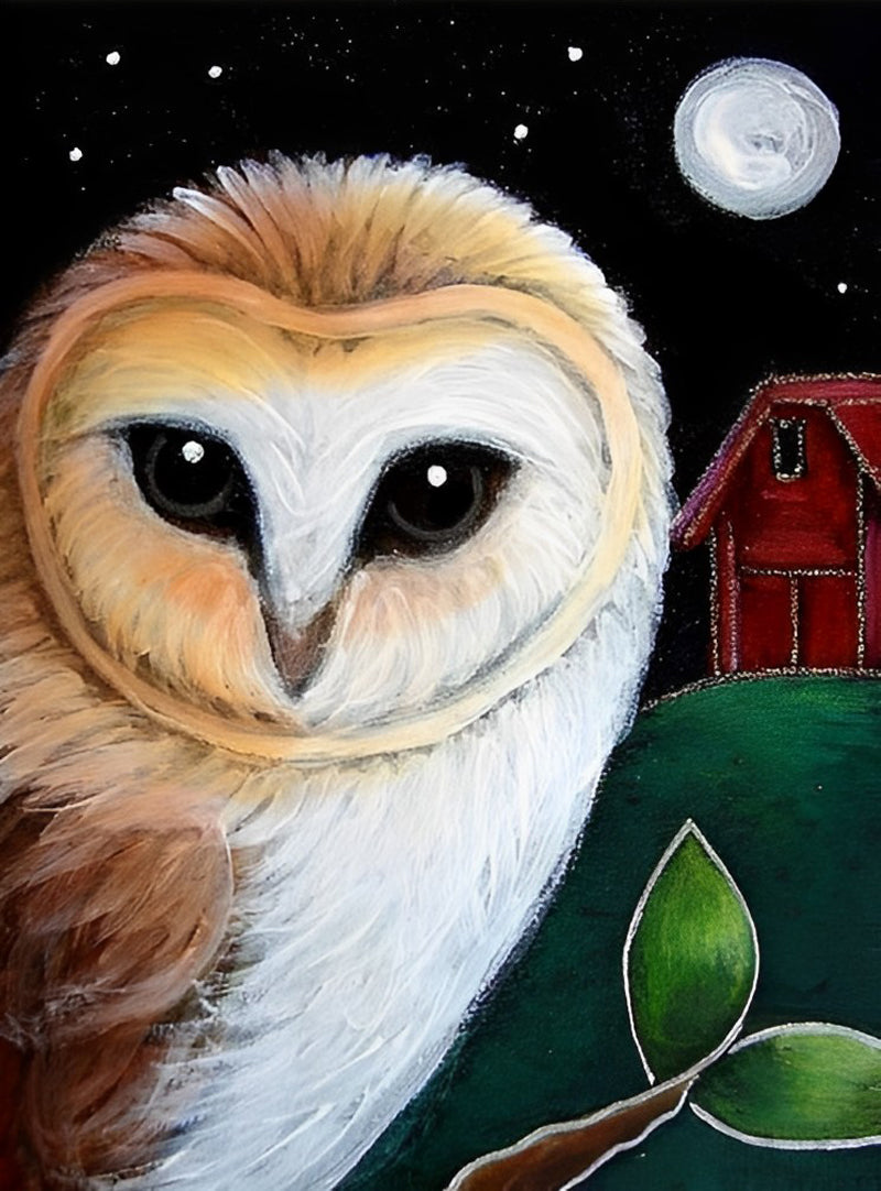 Owl, House and Moon 5D DIY Diamond Painting Kits