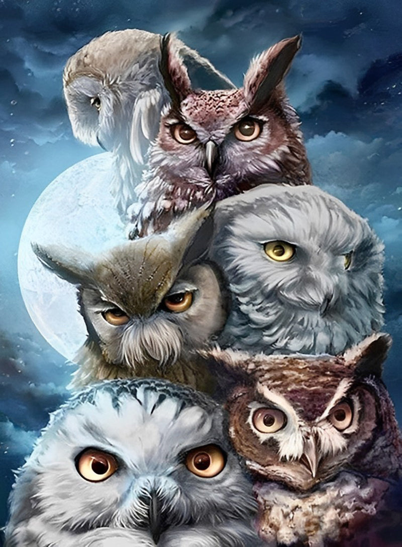 Six Owls under the Clear Moon Diamond Painting