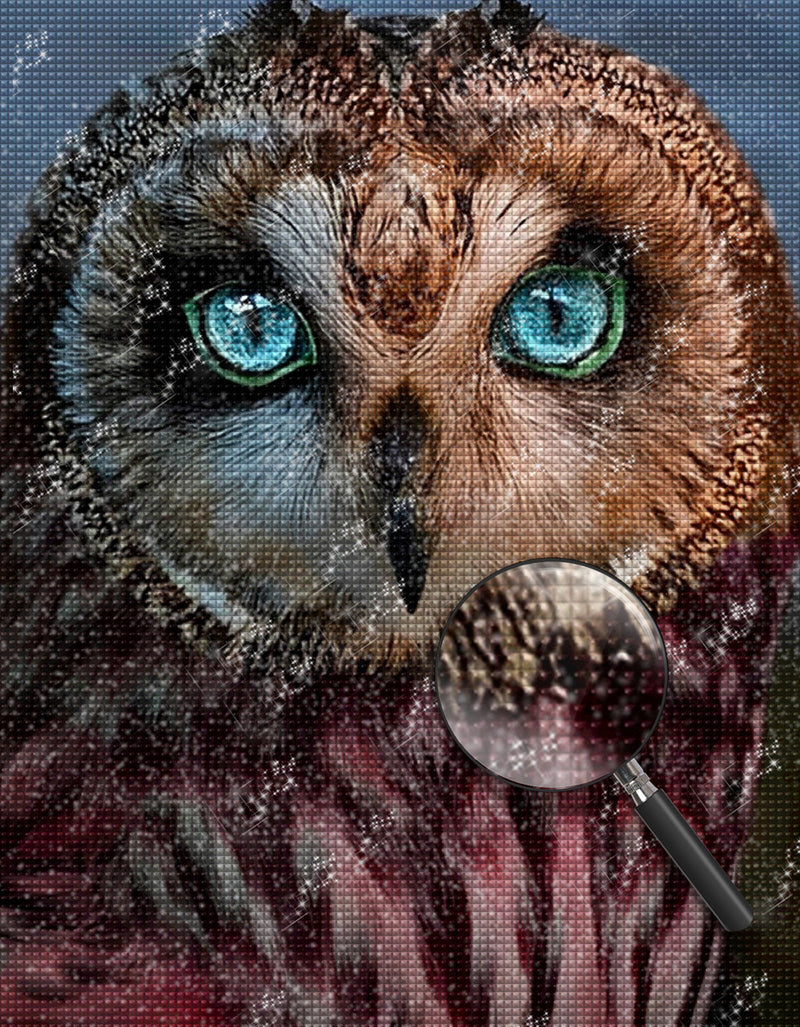 Blue Eyed Owl Diamond Painting