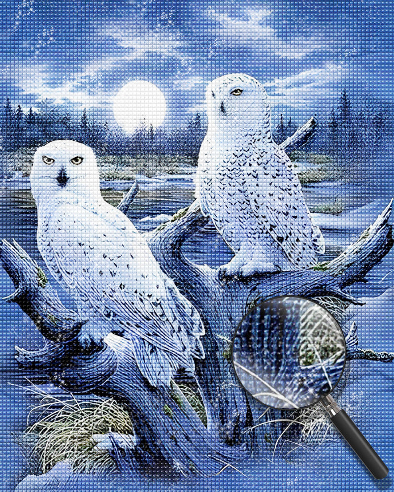 Two Owls on Dead Tree Diamond Painting