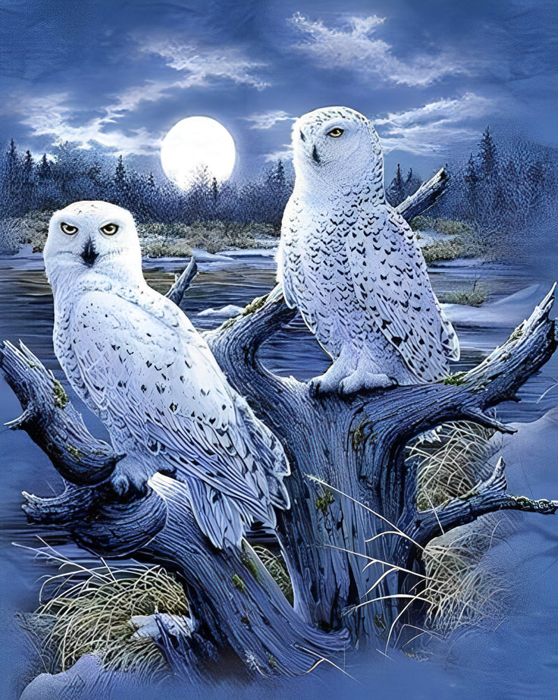 Two Owls on Dead Tree Diamond Painting