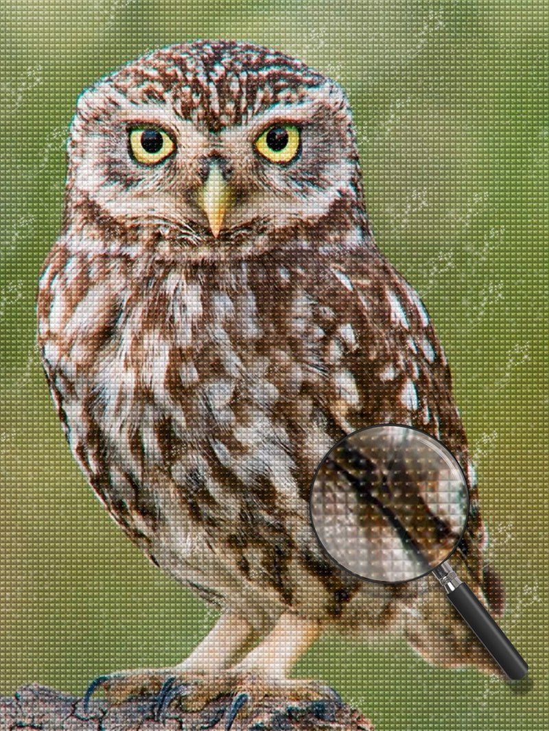Brown Owl Diamond Painting