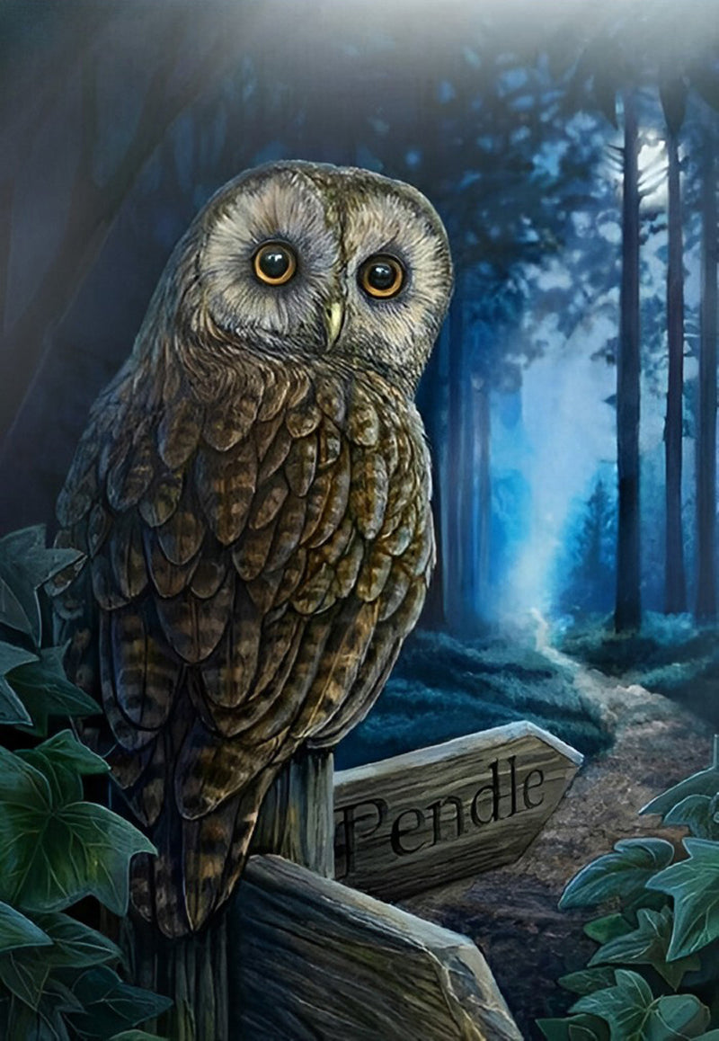 Owl in the Wood 5D DIY Diamond Painting Kits