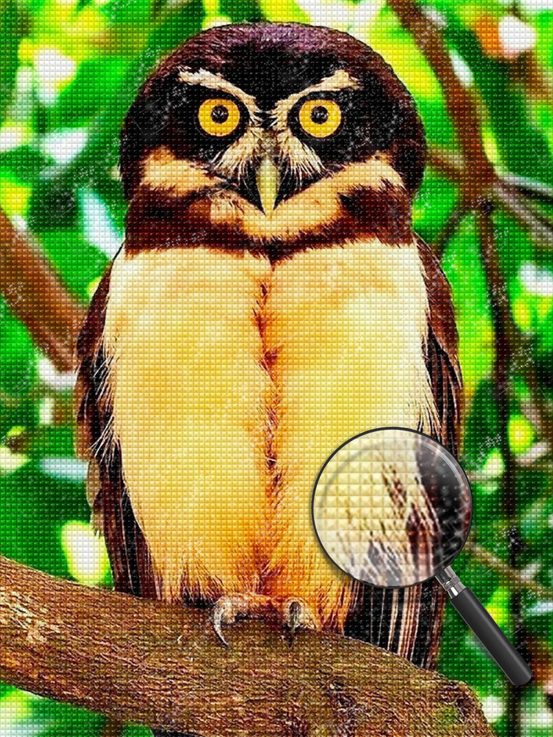 Yellow and Black Owl 5D DIY Diamond Painting Kits