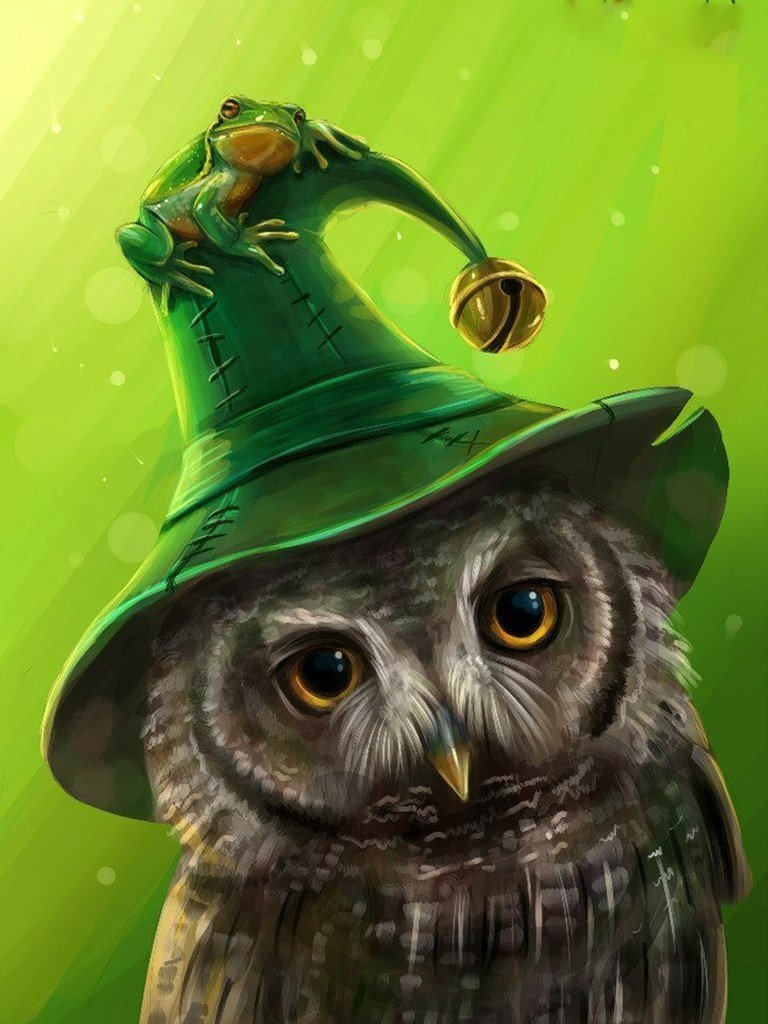 Owl in Green Wizard Hat Diamond Painting
