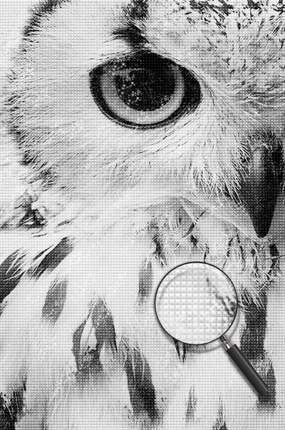 Half Face of the Snowy Owl Diamond Painting