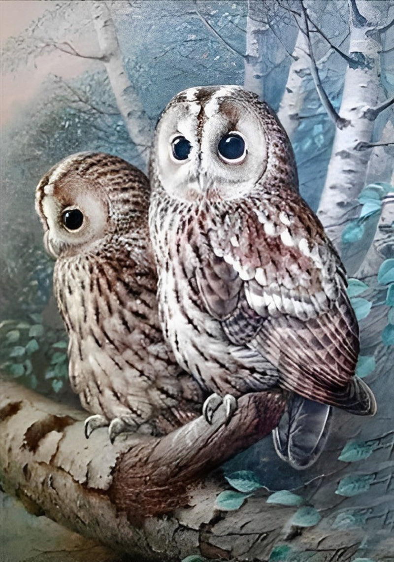 Two Cute Owls Standing on Branch Diamond Painting