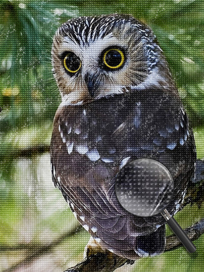 Owl Turning Head Diamond Painting