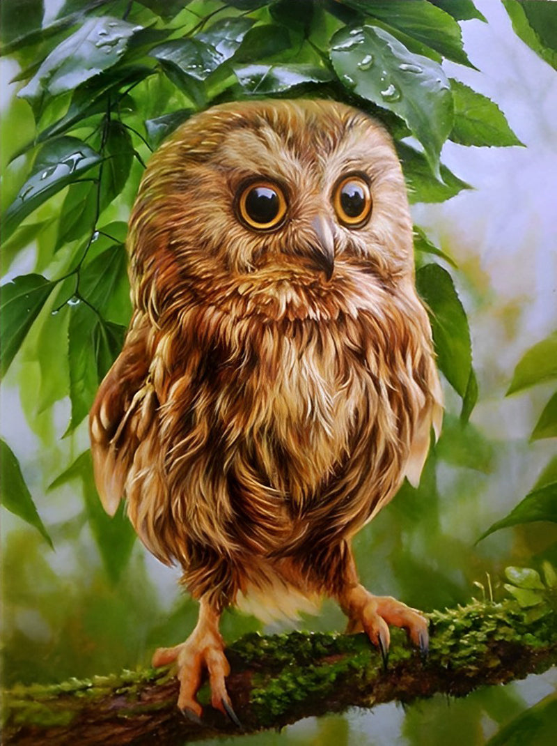 Owl and Green Leaves Diamond Painting