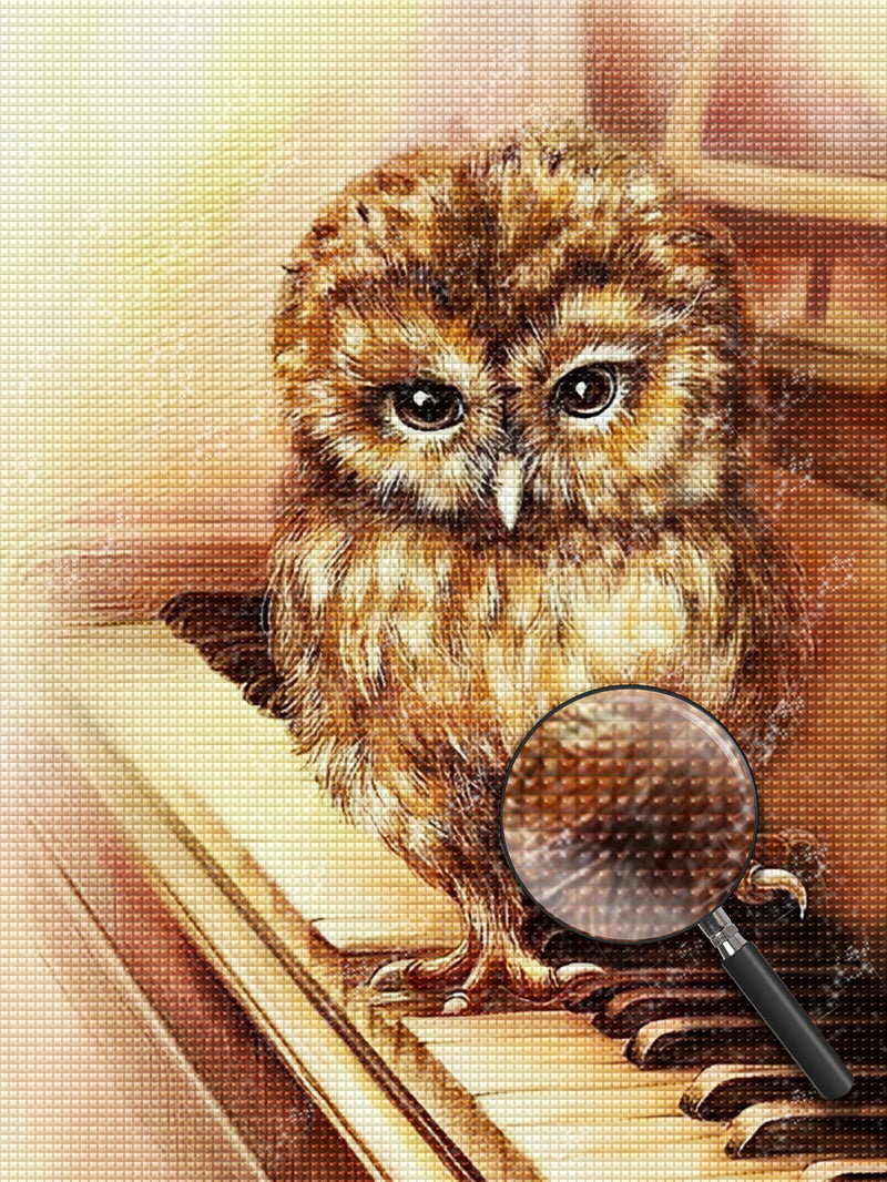 Owl Playing the Piano Diamond Painting