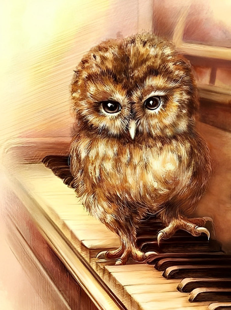 Owl Playing the Piano Diamond Painting