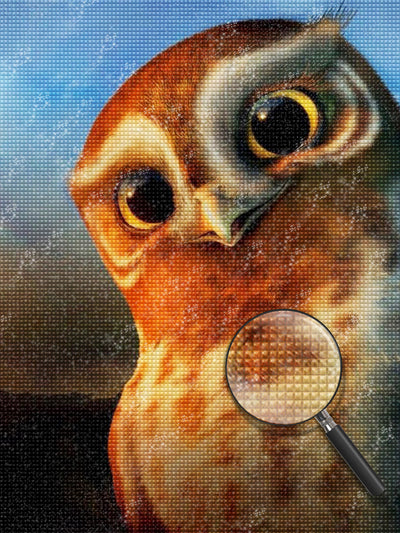 Benevolent Owl Diamond Painting