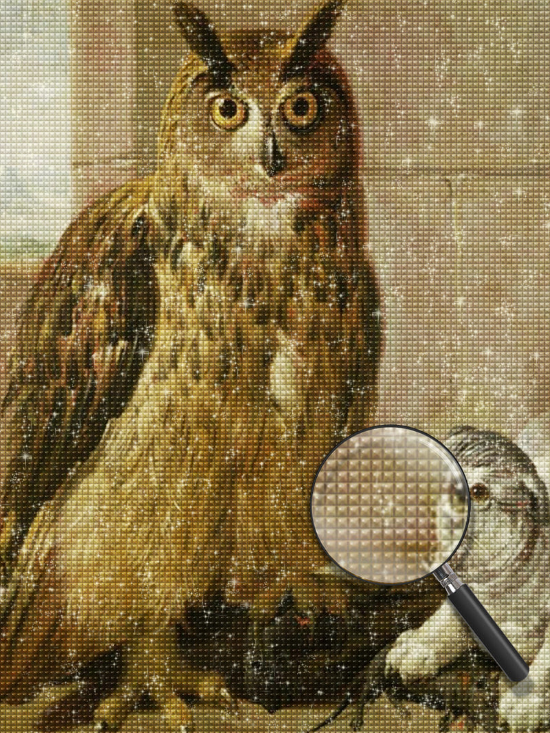 Owl and Cat Playing Diamond Painting