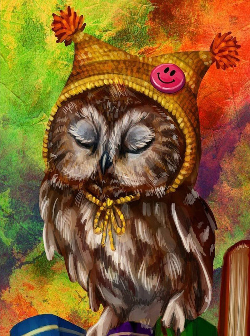 Owl in Yellow Hat Diamond Painting