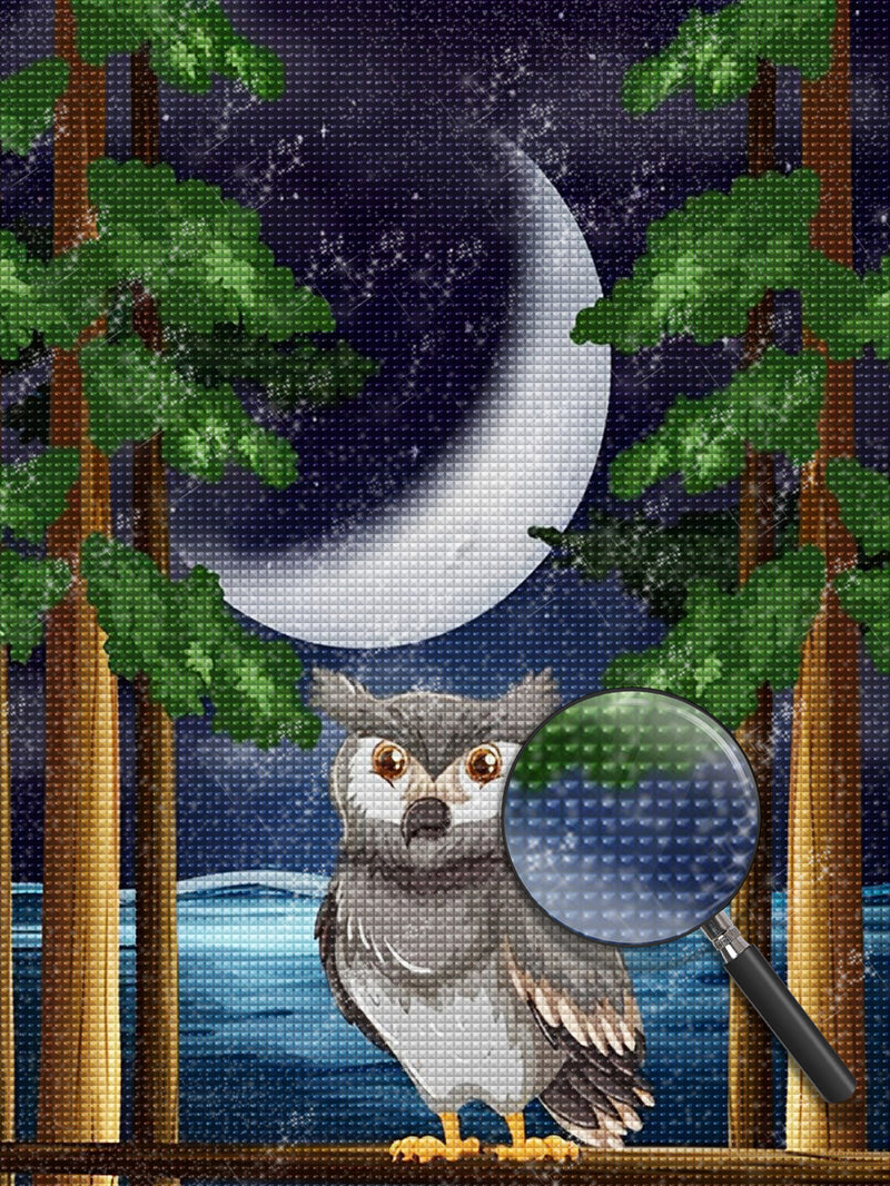 Gray Owl in the Night Diamond Painting