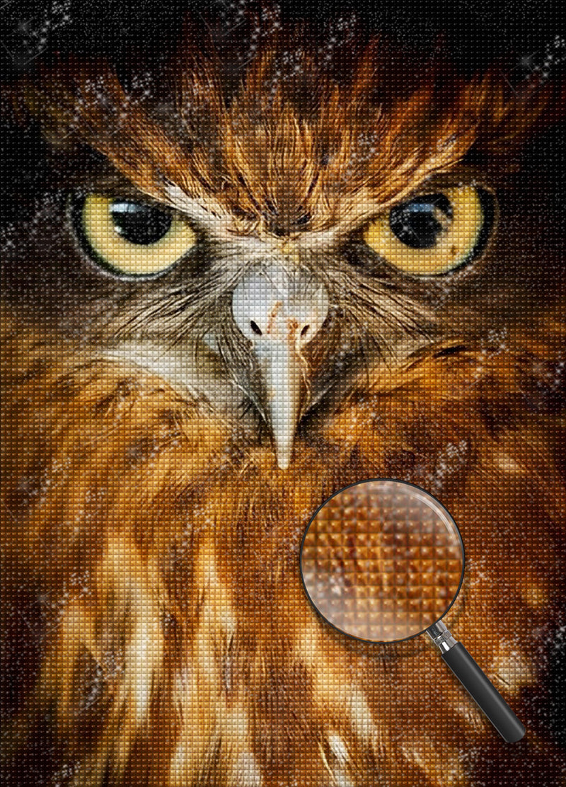 Orange Owl Serious Diamond Painting