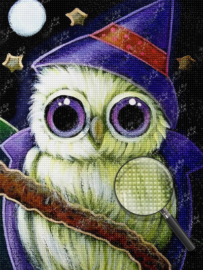 Wizard Owl Diamond Painting