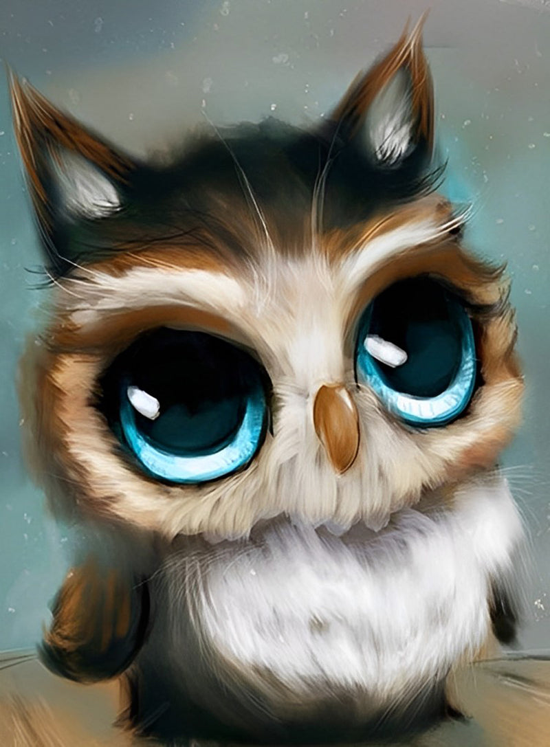 Cute Blue Eyed Owl Diamond Painting