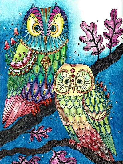 Two Colorful Owls 5D DIY Diamond Painting Kits