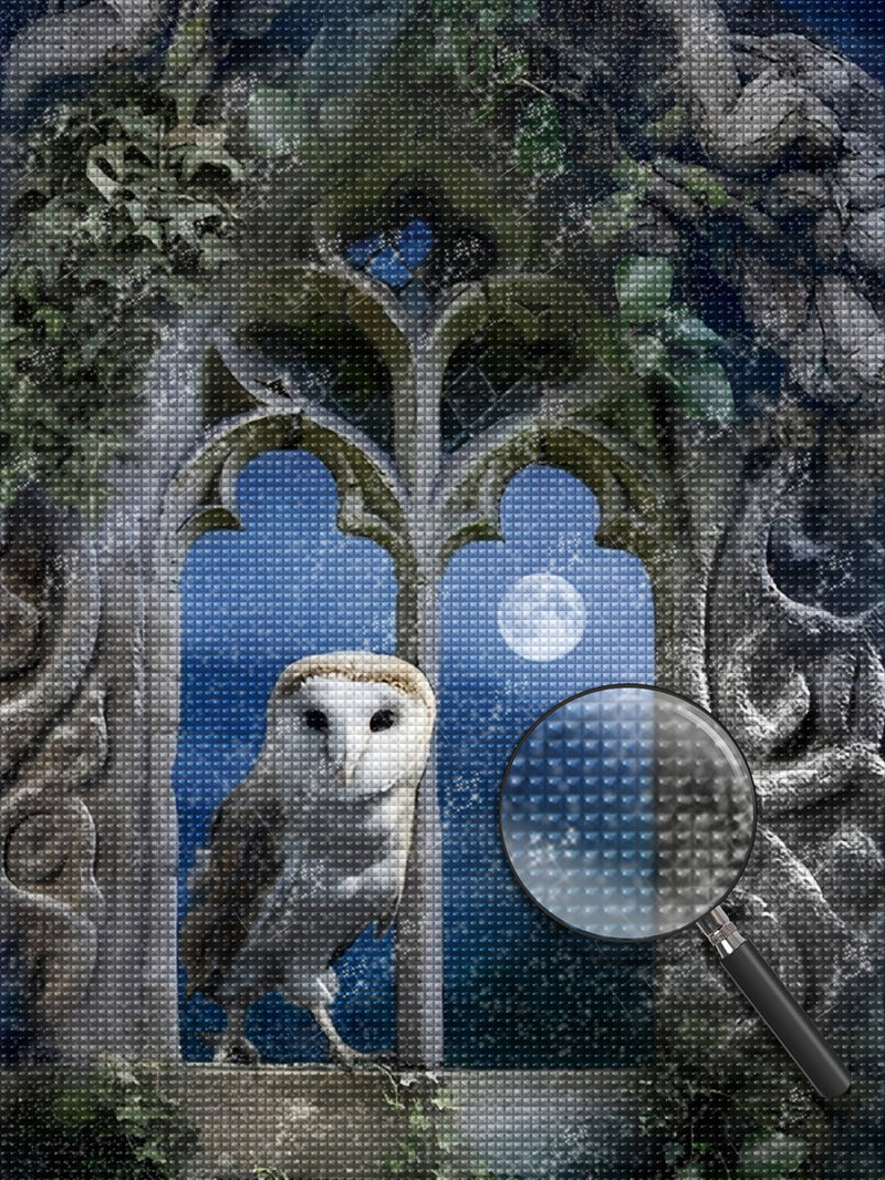 Owl Standing on the Windowsill Diamond Painting