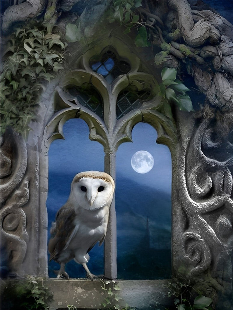 Owl Standing on the Windowsill Diamond Painting