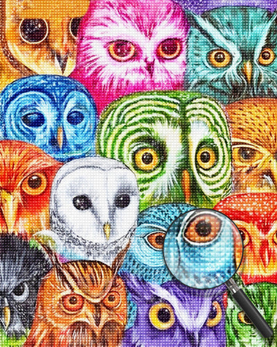 Owls of Different Colors 5D DIY Diamond Painting Kits