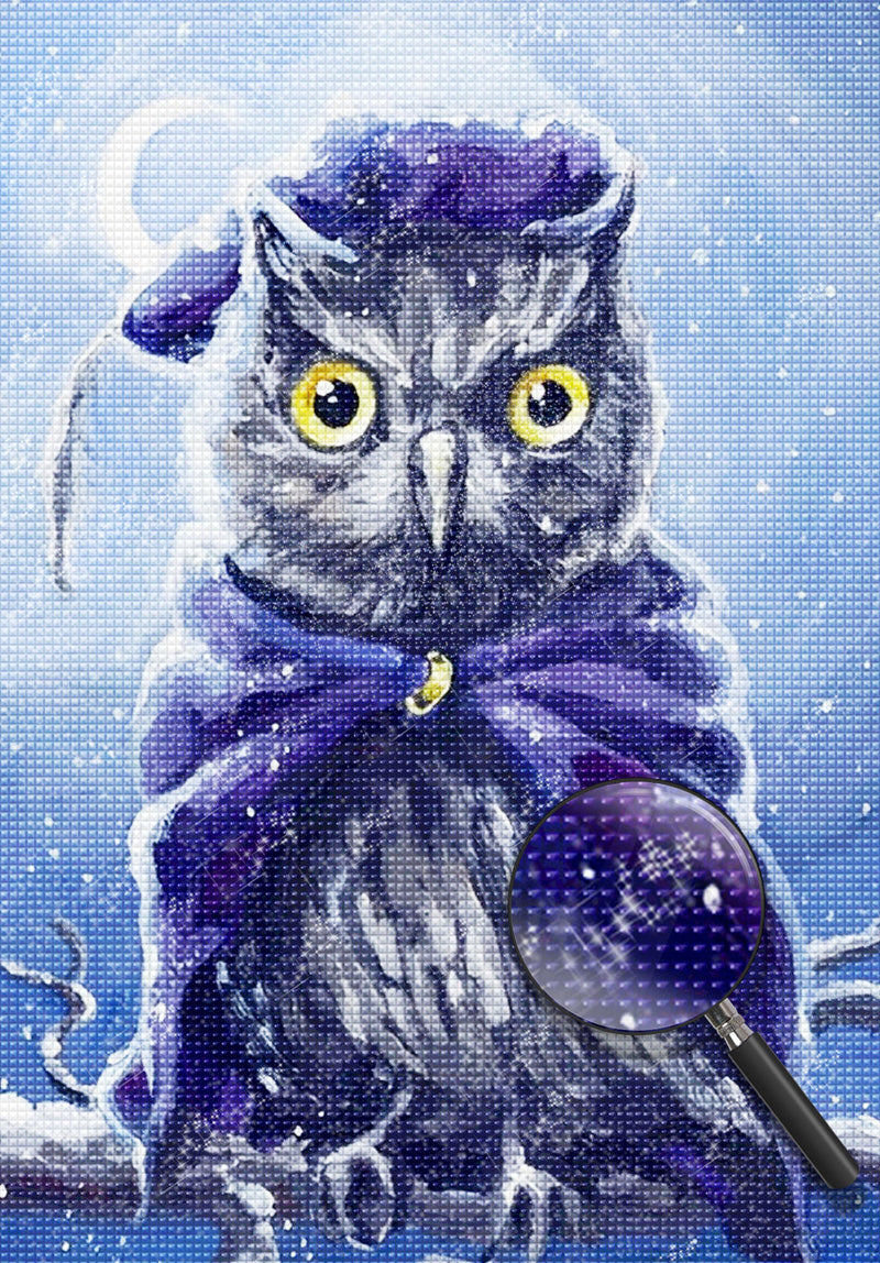 Owl in Purple Hat Diamond Painting