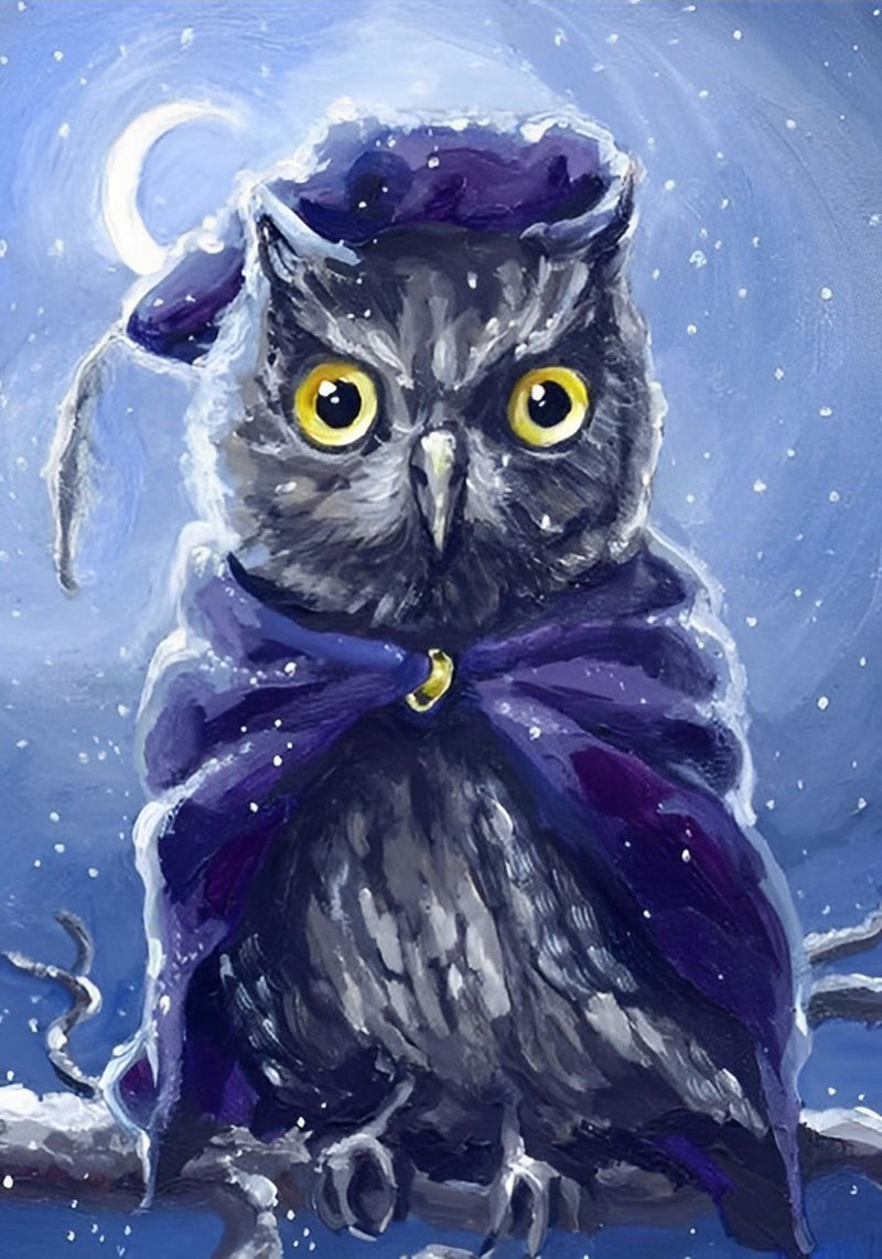 Owl in Purple Hat Diamond Painting