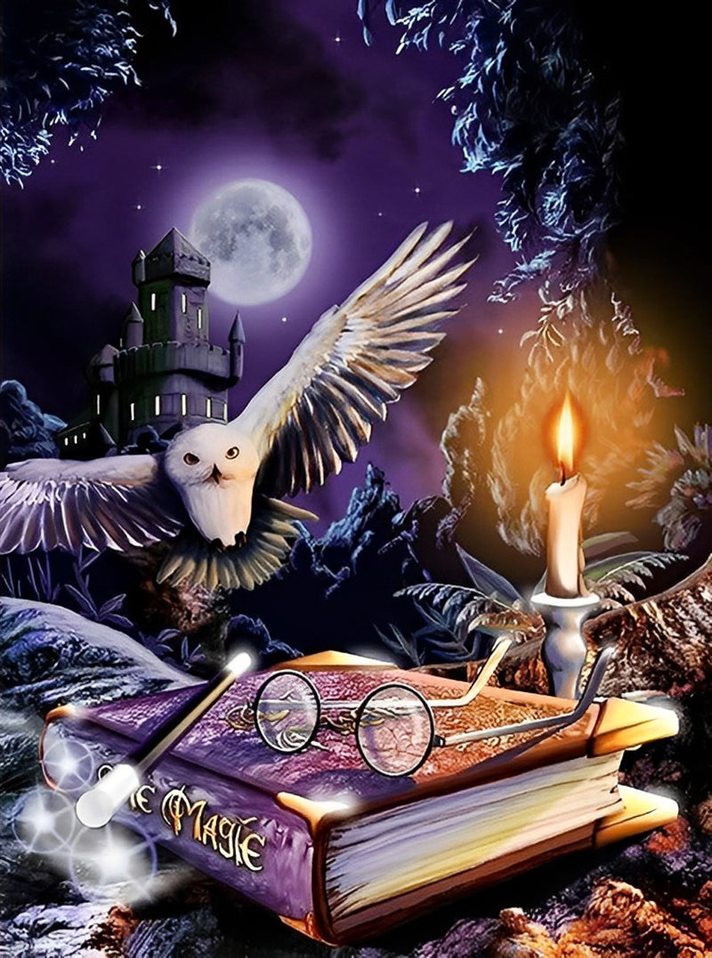 Owl and Witchcraft 5D DIY Diamond Painting Kits