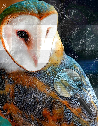 Owl with White Face Diamond Painting