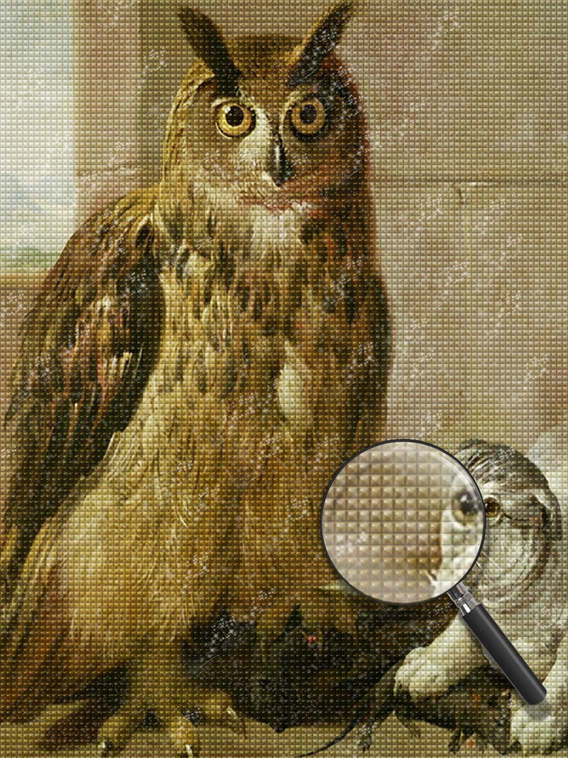 Large Owl and Cat Diamond Painting