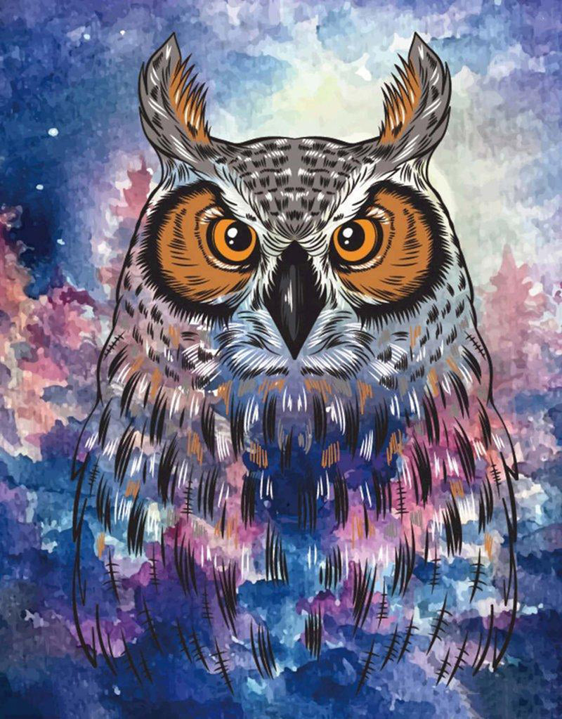 Multicolored Owl with Orange Eyes Diamond Painting