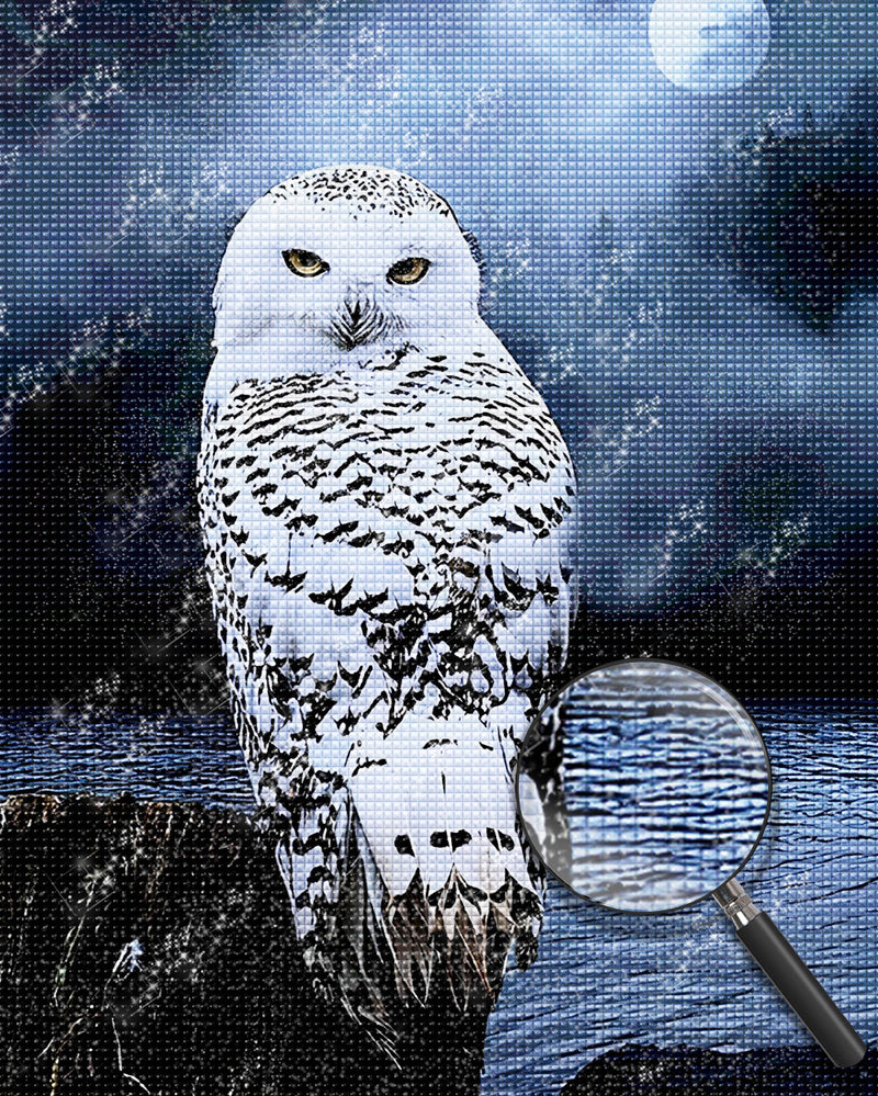 Owl 5D DIY Diamond Painting Kits DPOWLH202