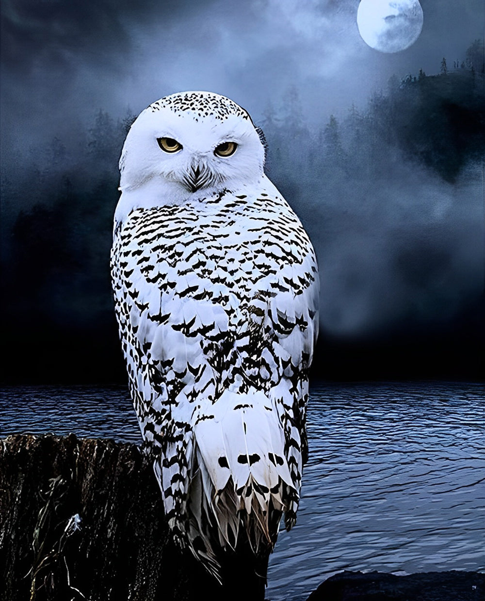 Snowy Owl and Clear Moon Diamond Painting