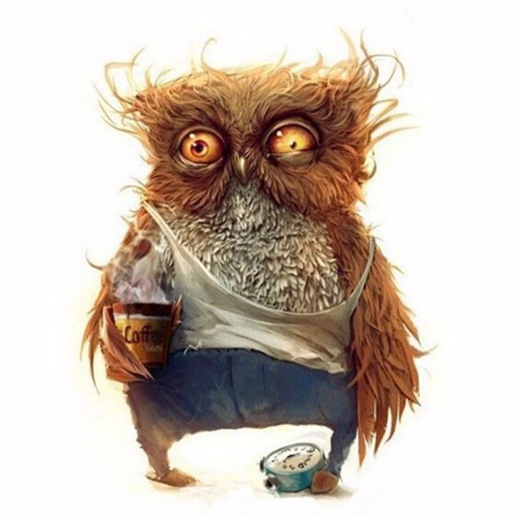 Old Sordid Owl Diamond Painting