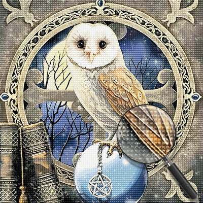 Owl and Crystal Ball 5D DIY Diamond Painting Kits