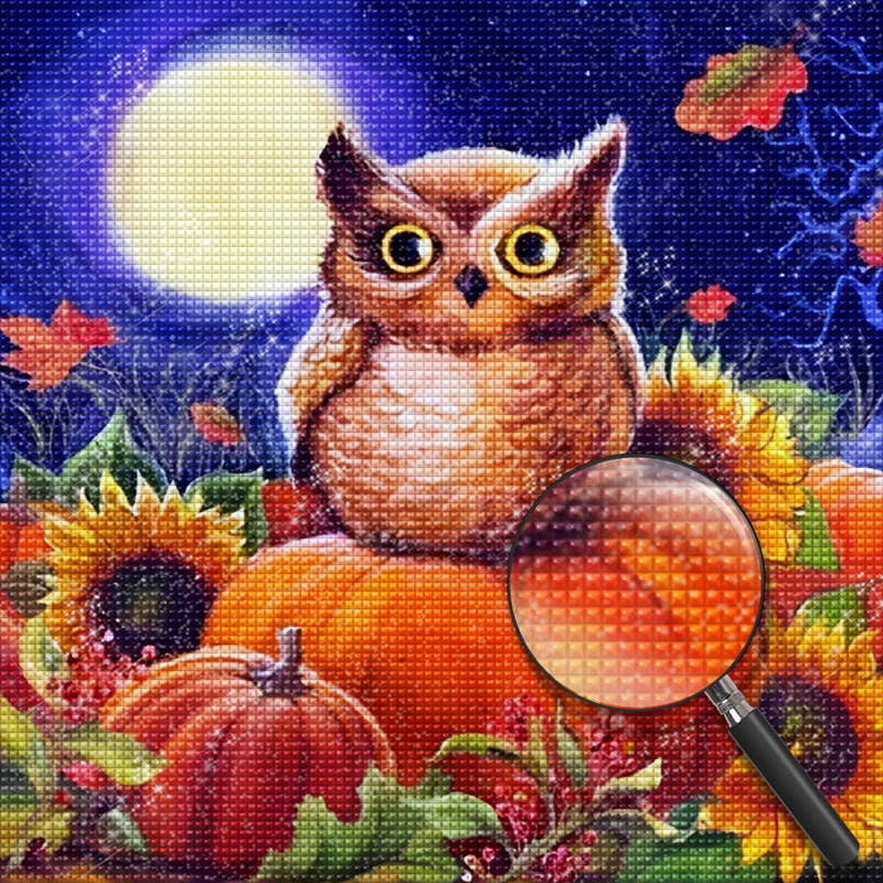 Owl and Pumpkins Diamond Painting