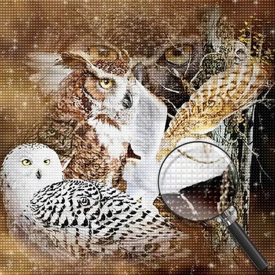 Owl 5D DIY Diamond Painting Kits DPOWLSQR121